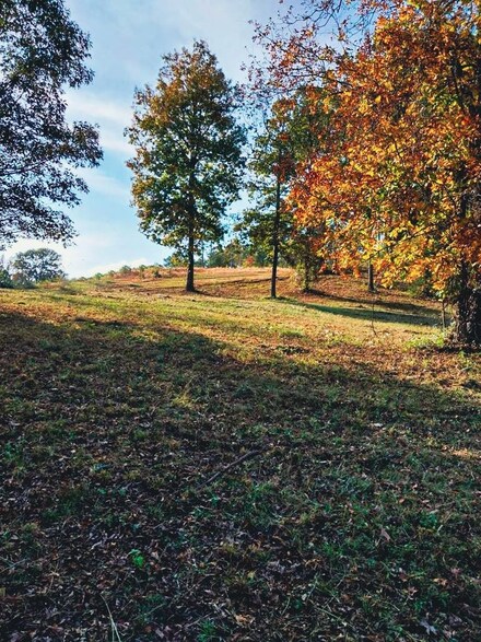 0 Whippoorwill Dr, Red Bay, AL 35582