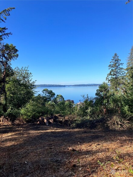 175 Brick Kiln Rd, Fox Island, WA 98333