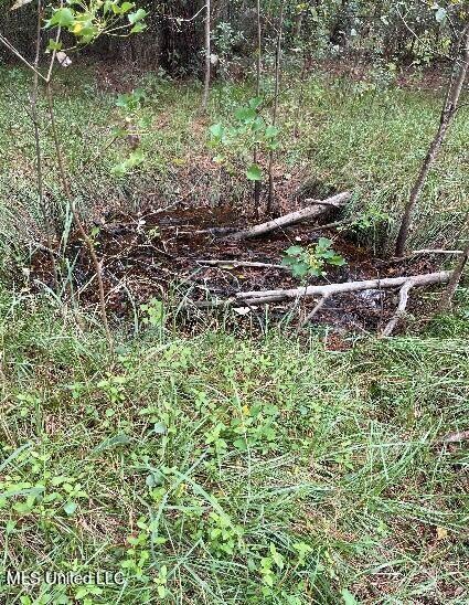 0 Mcdowell Rd, Saucier, MS 39574