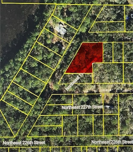 22733 NE 115th Ave, Fort Mc Coy, FL 32134
