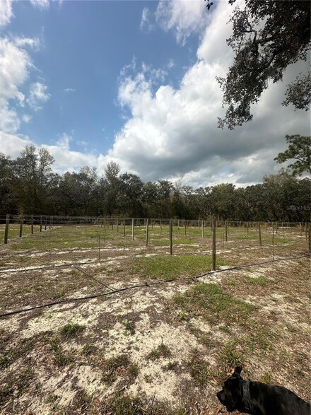 9095 Realstone Dr, Webster, FL 33597