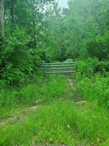 0 V L Todd Rd, Whitehall, MI 49461