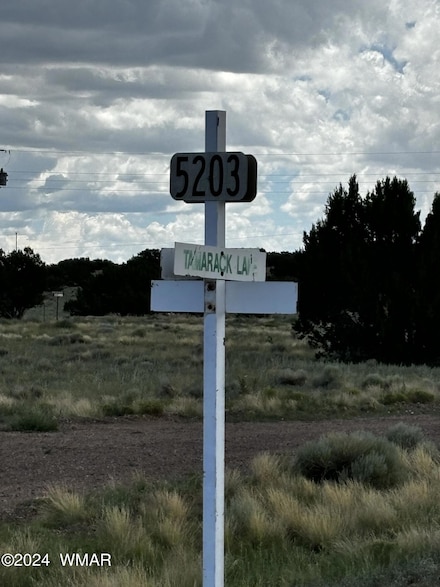 31 Tamarack Rd, Concho, AZ 85924