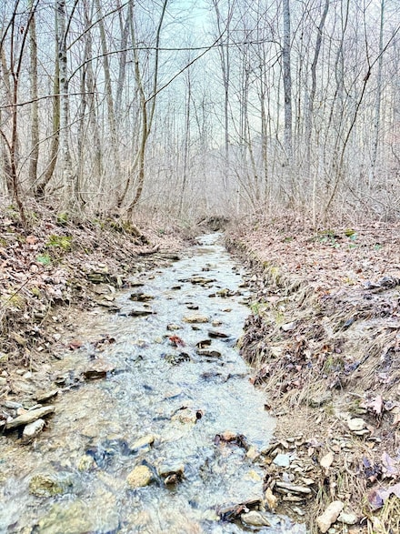 0 Sam Baughman Rd, Stanford, KY 40484