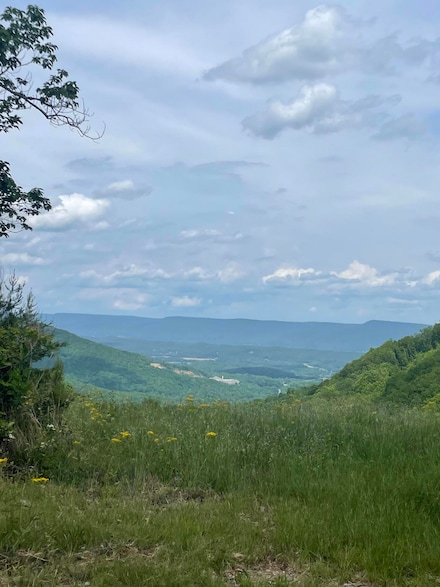 0 High Point Ln Unit 1512204, Jasper, TN 37347