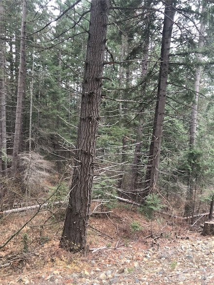 0 0-XXX Mohar Rd, Cle Elum, WA 98922