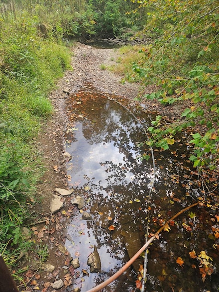 28661 Williams Farm Rd, Lower Salem, OH 45745