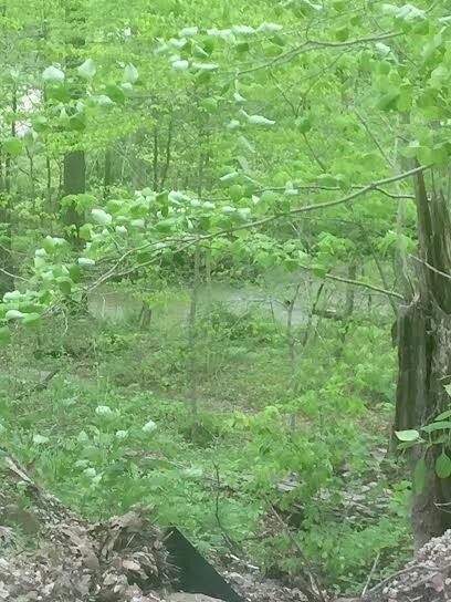 20.38 +/- Acres Plum Creek Rd, Jackson Township, IN 47448