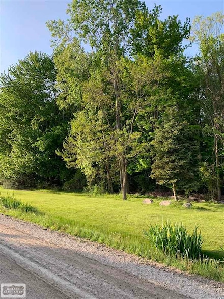 01 Vandy St, Harrison Township, MI 48080