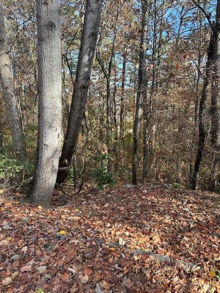 0 Pinewood Dr, Dalton, GA 30721