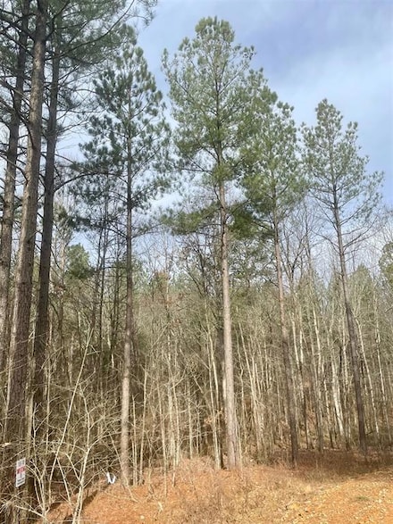 740 Timber Creek Trails Xl, Broken Bow, OK 74728