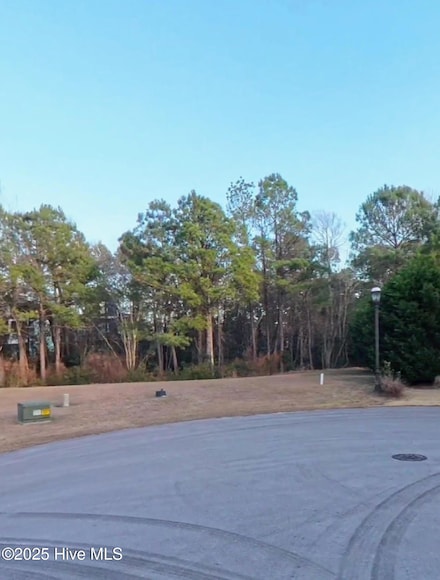 415 Wisteria Ln, Holly Ridge, NC 28445
