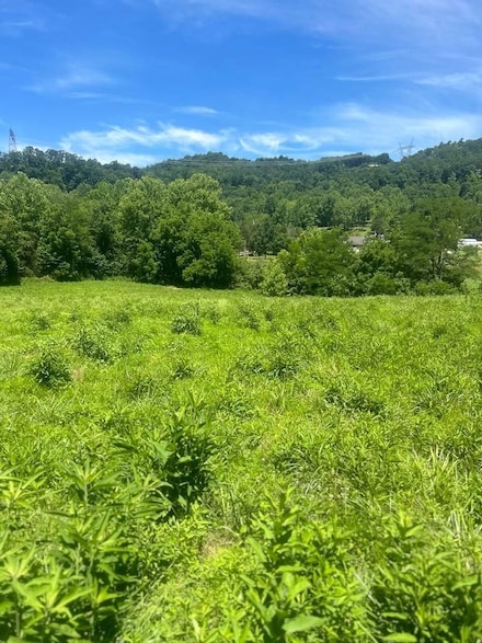 0 Quicks Run Rd, Vanceburg, KY 41179
