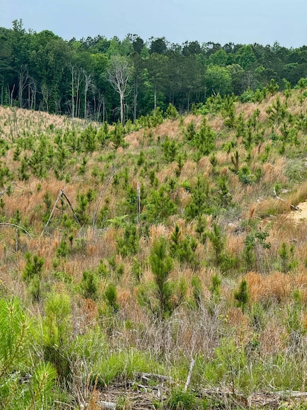 300 Little Mount Calvary Rd, McCool, MS 39108