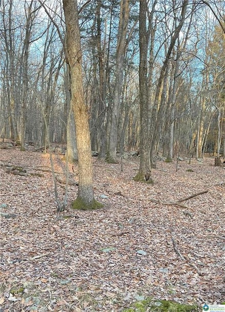 80 Spokane Rd, Penn Forest Township, PA 18210