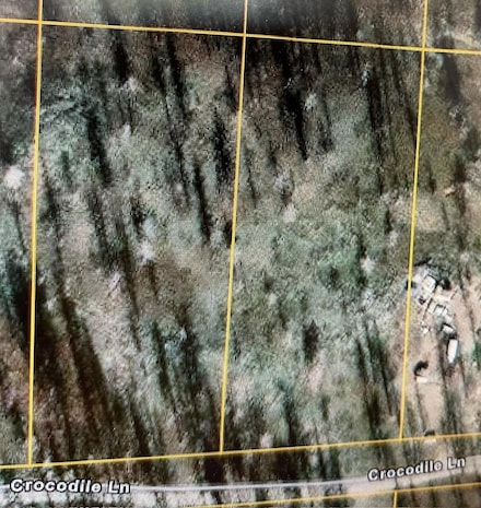 Lot 1200 Crocodile Ln Unit Lot 1200, Bonanza, OR 97623