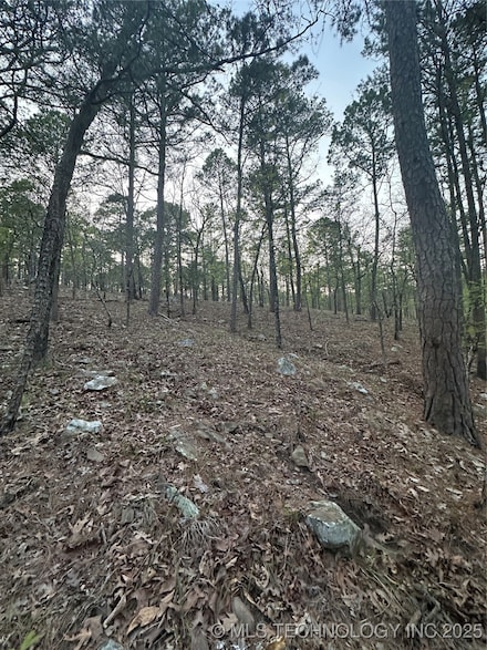 40 E1588 Rd, Tuskahoma, OK 74574