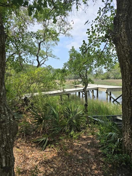 261 Mossy Oak Way, Mount Pleasant, SC 29464