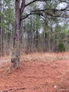 01 Duff, Brent, AL 35034