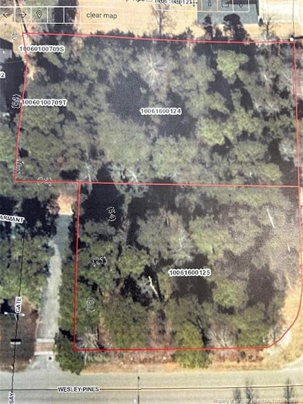 815 Wesley Pines Rd, Lumberton, NC 28358