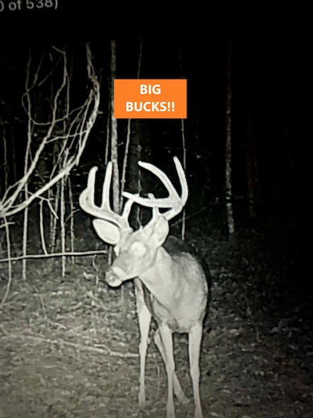 35 County Road 638, Corinth, MS 38834