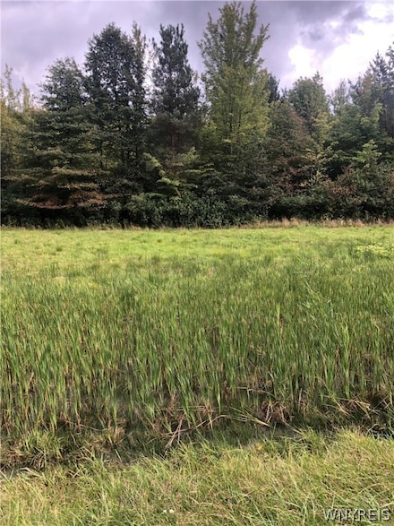 V/L Southwestern Blvd, Evans, NY 14006