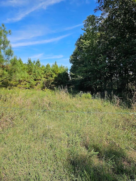 0 Porter Rd Unit 24035371, Des Arc, AR 72040