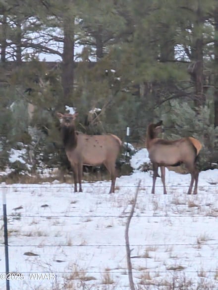 0 Dynamite Rd N Unit 255734, Lakeside, AZ 85929