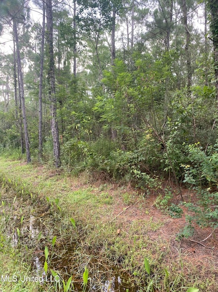 0 Fig Dr Unit 4118383, Bay Saint Louis, MS 39520