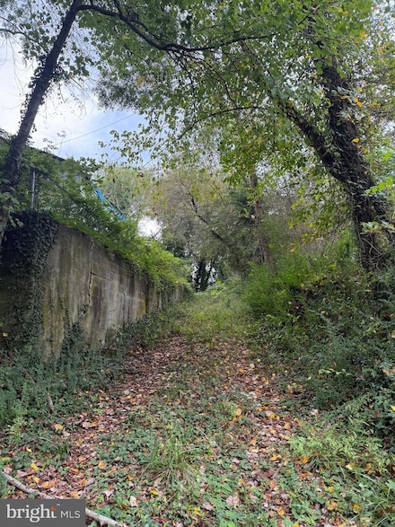 160 Chase St, Bowling Green, VA 22427