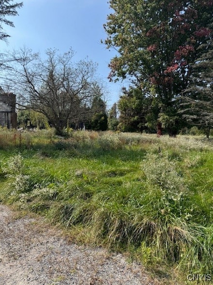 2958 Pine Ridge Rd, Canastota, NY 13032