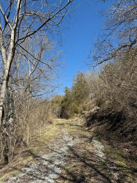 0 Hafley Branch Rd, Liberty, KY 40437