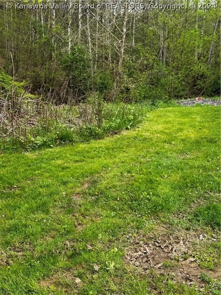 0 N Fork of Big Creek Rd Unit 271557, Chapmanville, WV 25508