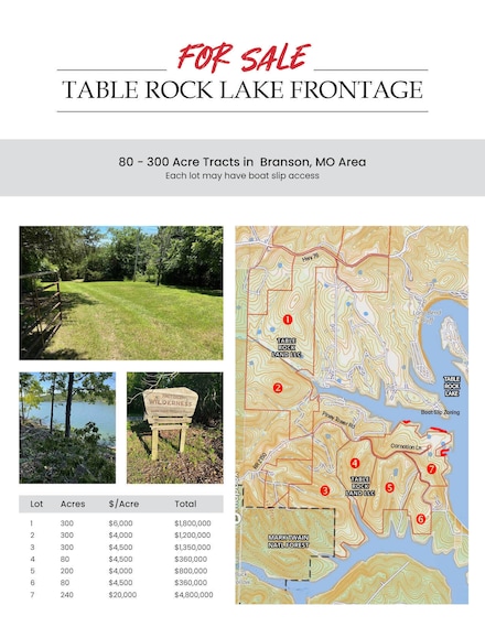 LOT 2 Piney Tower Rd, Flat Creek A Township, MO 65624
