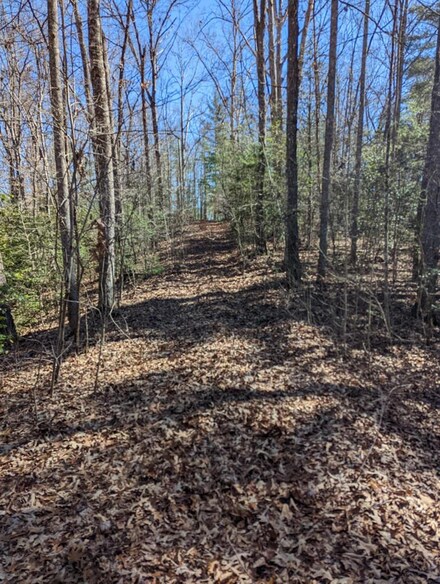 6 AC Brown School Gap Rd, Murphy, NC 28906