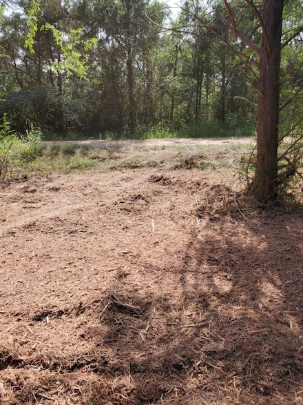 TBD Shoshone Dr, Gordonville, TX 76245