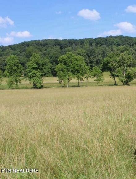 1361 Paint Rock Valley Rd, Philadelphia, TN 37846