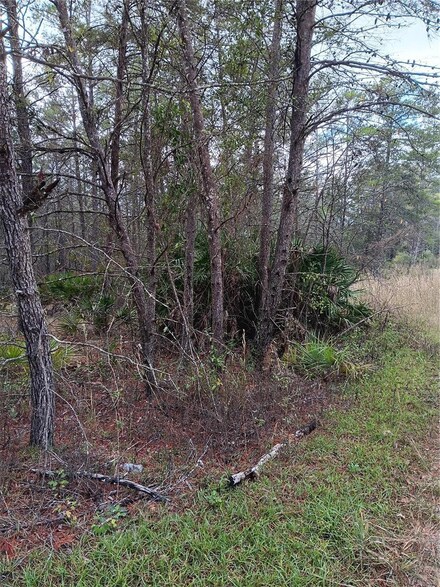 5144 W Osmond Ln, Dunnellon, FL 34433