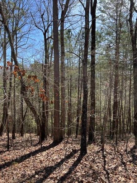LT 4 Hunter Ridge, Ellijay, GA 30540