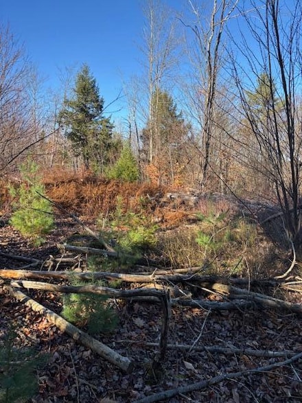 M 6, L 32 Main St, Wayne, ME 04284