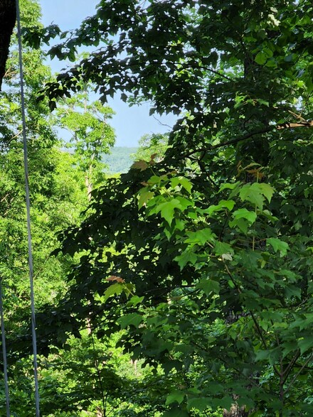 0 Meadow Lark Rd Unit 1374331, Dunlap, TN 37327