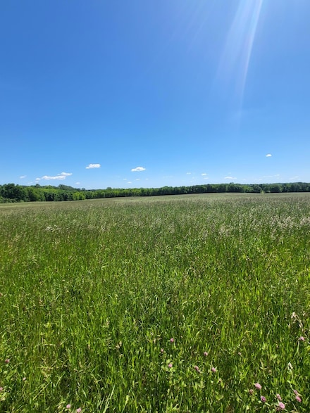 XXX Nelson Rd, Independence, MN 55328