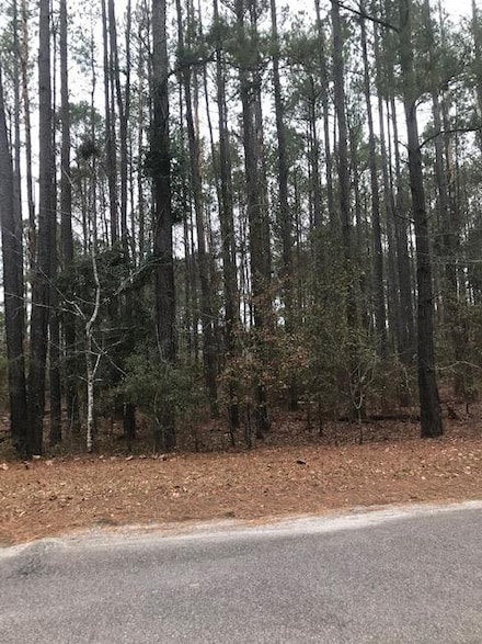 0 Lakewood Pkwy Unit 115197, Barnwell, SC 29812