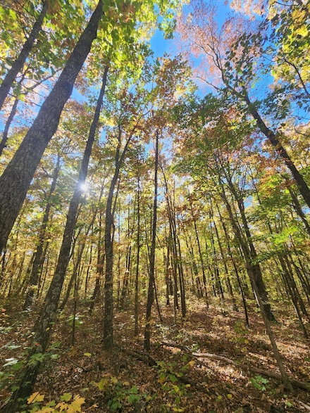 17 Higgenbottom, Altamont, TN 37301