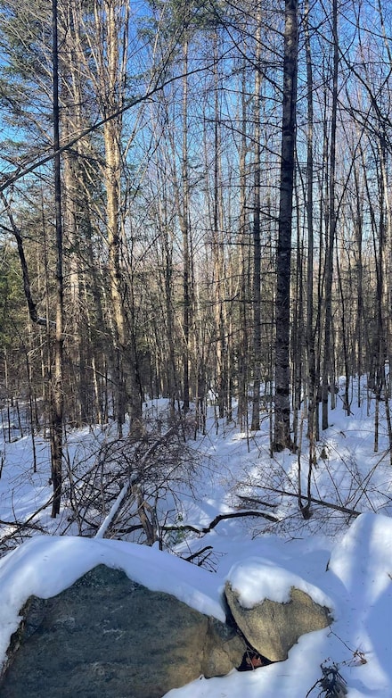 361 Old Franconia Rd, Bethlehem, NH 03574