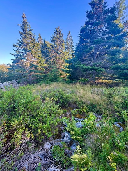 Lot #3 Pequot Rd, Vinalhaven, ME 04863
