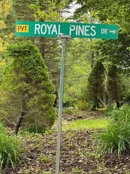 TBD Royal Pines Dr Unit 3, Newland, NC 28657