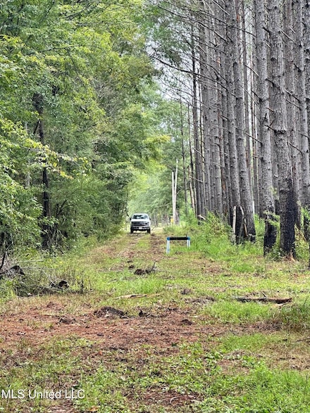 Lot A Swamp Rd, Carthage, MS 39051