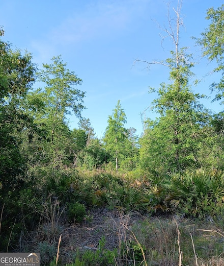 0 Old Traders Hill Rd Unit 2.84 ACRE PARCEL LOT, Folkston, GA 31537