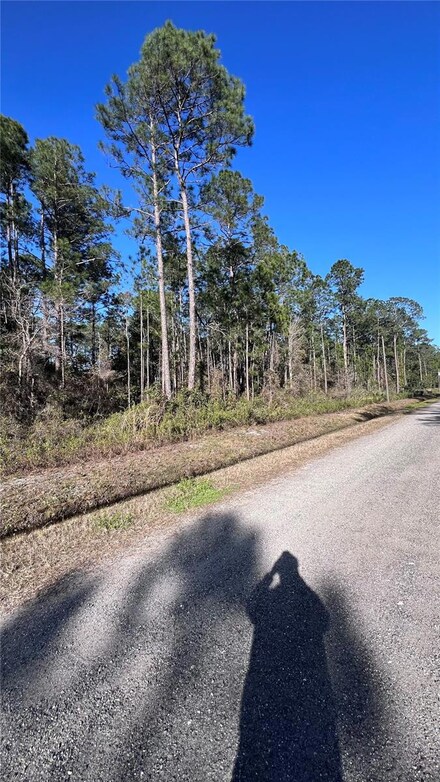 4220 Theresa St, Hastings, FL 32145